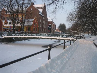 IMG_8372.JPG