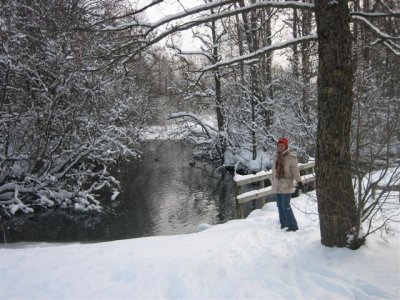 IMG_8380.JPG