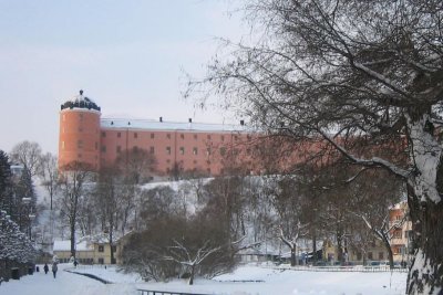IMG_8377.jpg