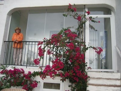 newly installed glass curtains
