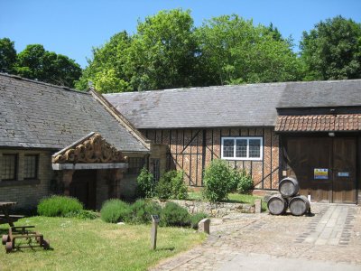 Chilford Hall vineyard