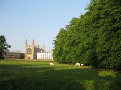 Back(s) in Cambridge