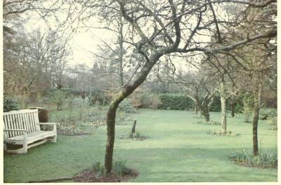 1966-winter in Tadworth