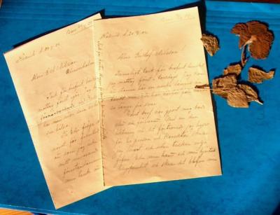 1904-Lydia's answer to Gustav Adolf's proposal