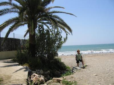 The beach in winter