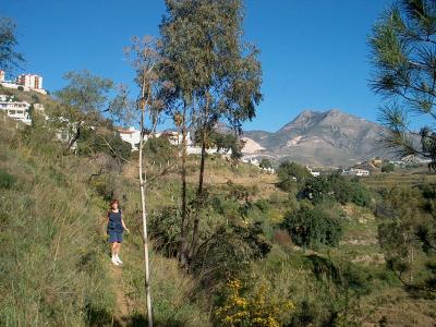 Arroyo hondo