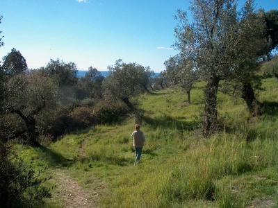 Finca Casablanca