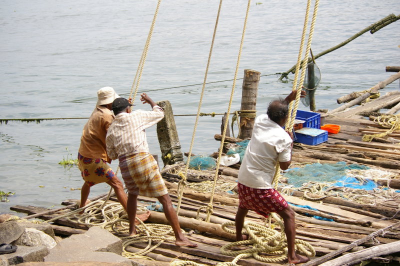 Kochi Fishermen #2
