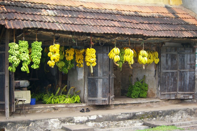 Bananas in the Old Shop