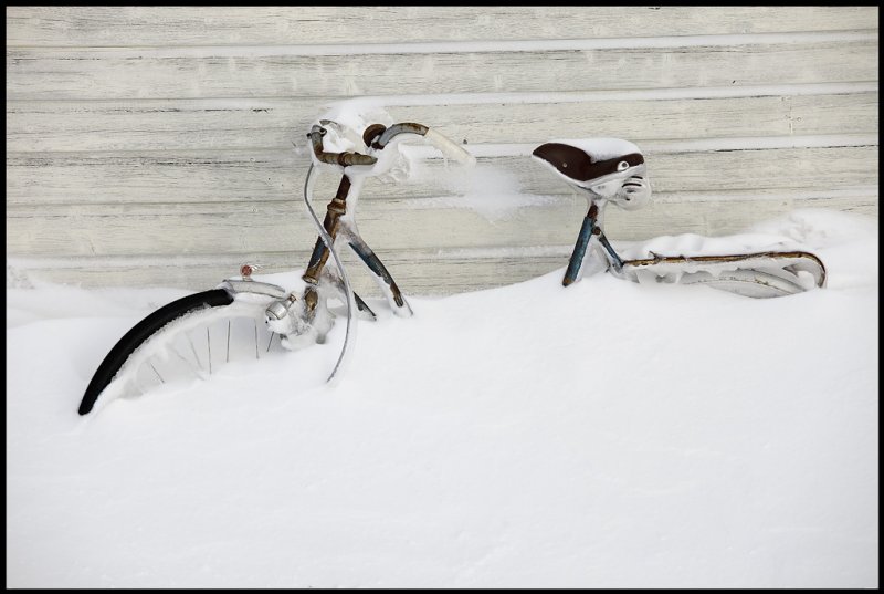 Going with bicycle in Varanger colud be hazardous