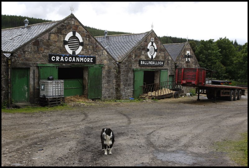 Cragganmore - old and reliable