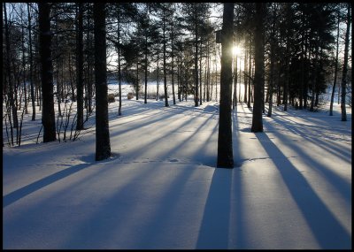 Sunrise outside our cabin in Ranua