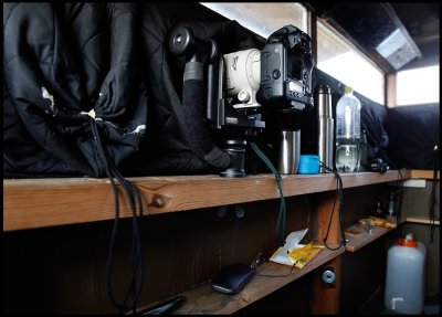 Inside my hide - constructed to use without  tripods