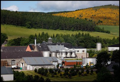 Glenfiddich distillery seen from Parkmore area