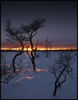 Sunset at Kittlakull - Store Mosse (Bogland National Park in south Sweden)