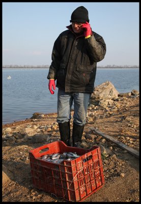 Tom helping us with with 20 kg of fish twice daily