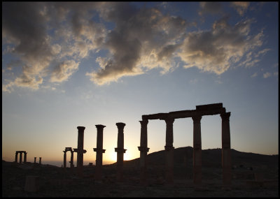 Palmyra silhouett at sunset