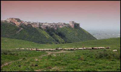 Aphamea village near the Roman ruins