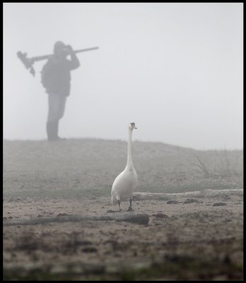 Where is that birdwatcher LG ??