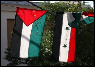 Flags for Arab unity and Syria