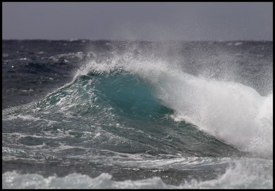 Strong winds on Fuerteventura - Canary Islands