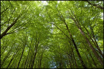 Going down to Agns Nature reserve - snen