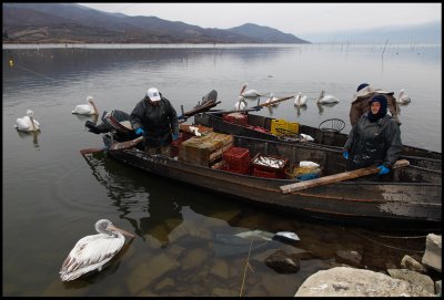 Fishermen on lake Kerini with pelicans waiting for food...