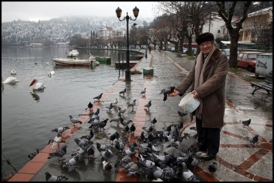 Feeding pigeons in the harbour of Kastoria