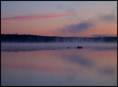 Lake Älgasjön near Älghult - Småland