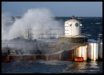 Winter gale in Skanr harbour - Sweden