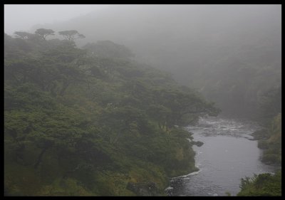 Often foggy on central parts of Flores