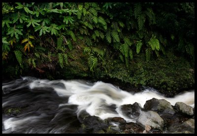 After the rain water is pouring eveywhere