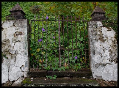 The gate to vegetation