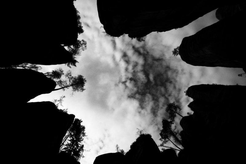 _MG_4727.JPG