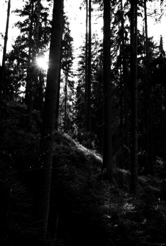 _MG_4780.JPG