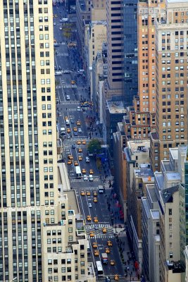 IMG_9889.JPG
