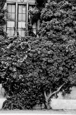 _34_0146.jpg