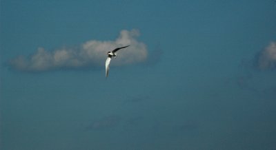DSC_8737_edited-1.jpg
