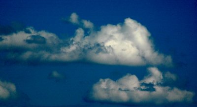 DSC_8530_edited-1.jpg