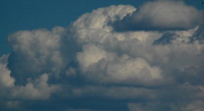 DSC_8546_edited-1.jpg