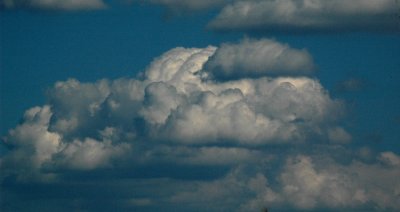 DSC_8548_edited-1.jpg