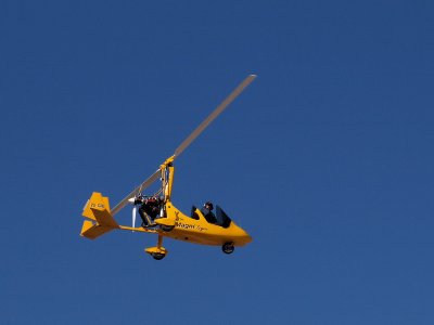 800heli6aP3294773.jpg