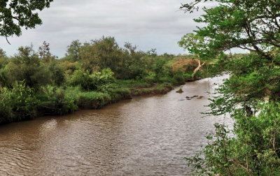 1024pano kruger 14a P4238816_stitch.jpg