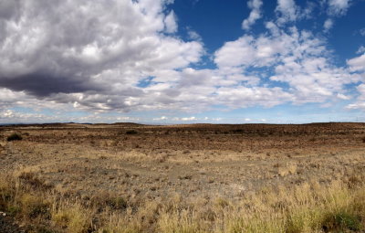 1024pano kruger 21a P4279184_stitch.jpg