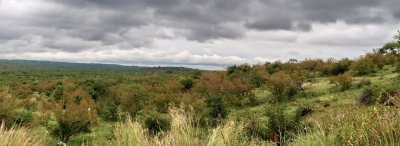1400Pano Kruger 200P4208537_stitch.jpg