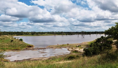 1400pano kruger 9 P4218660_stitch.jpg