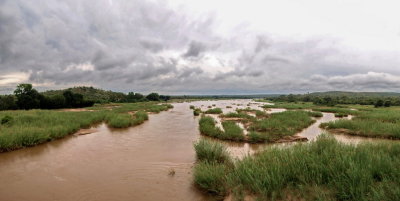 1400pano kruger1 P4208508_stitch.jpg