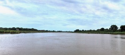 1600pano kruger 22aP4238852_stitch.jpg