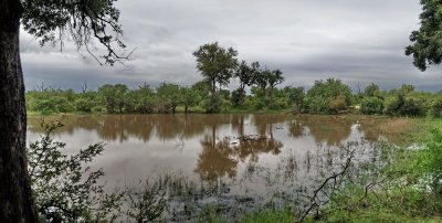 1600pano kruger 24 P4248924_stitch.jpg