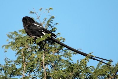 800P4222614.jpg